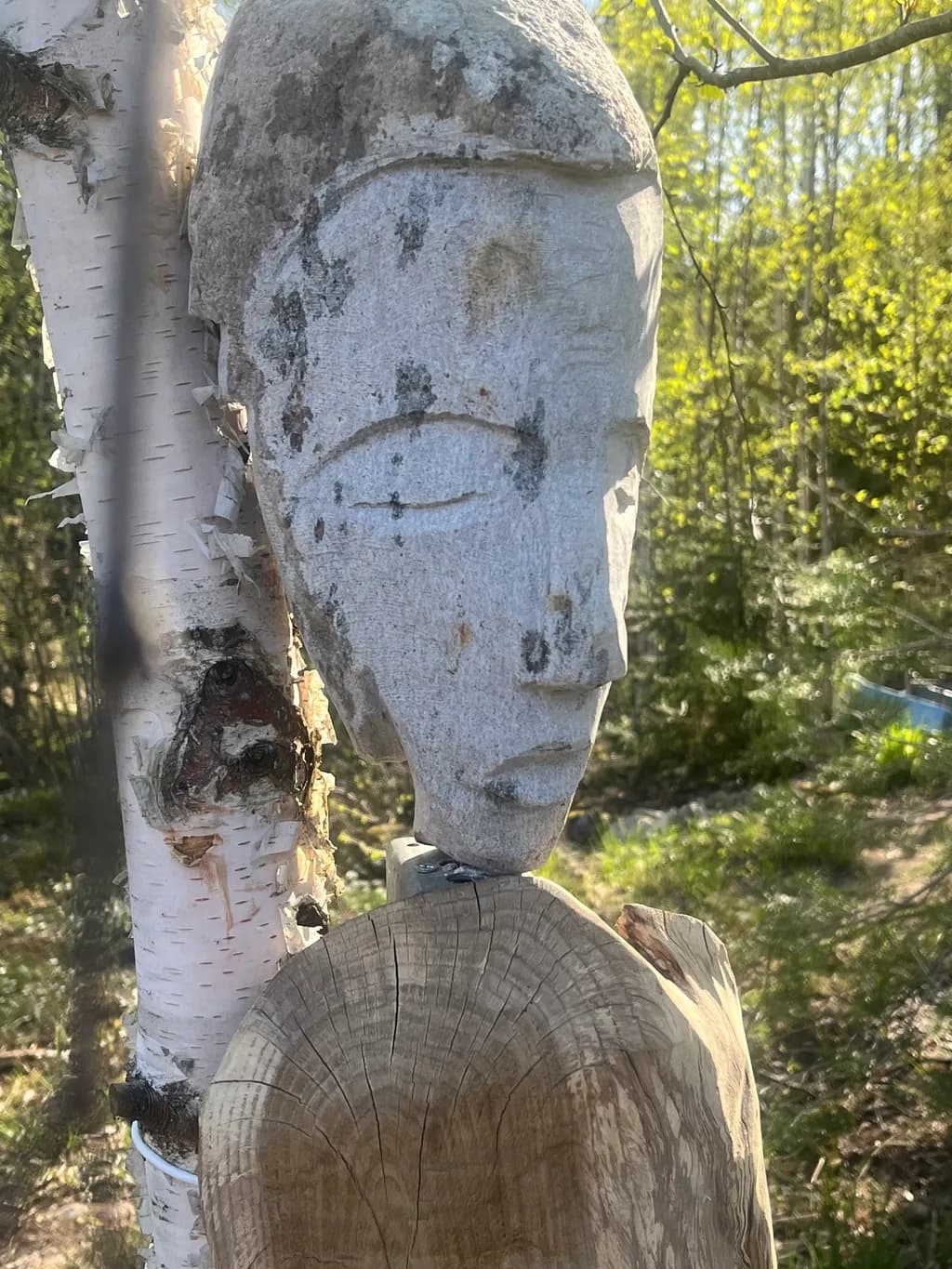 Birch Spirit Guardian