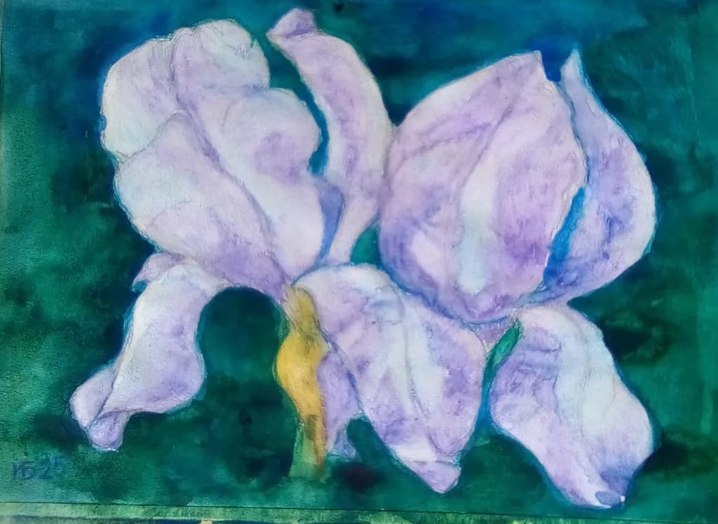 Whispers of Lavender: A Serene Iris in Bloom