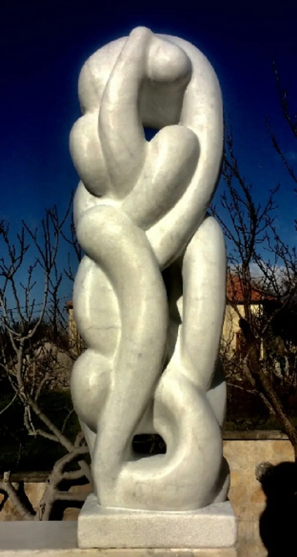 Entwined Forms
