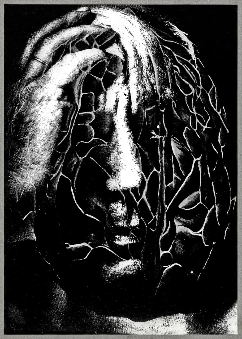 Fragmented Mind
