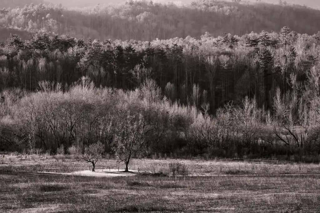 Silent Embrace