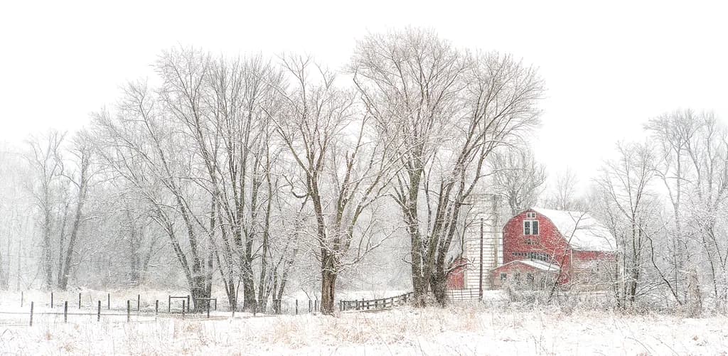 Winter's Peace