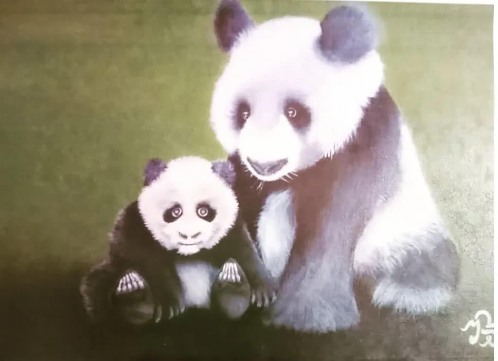 Panda Guardianship