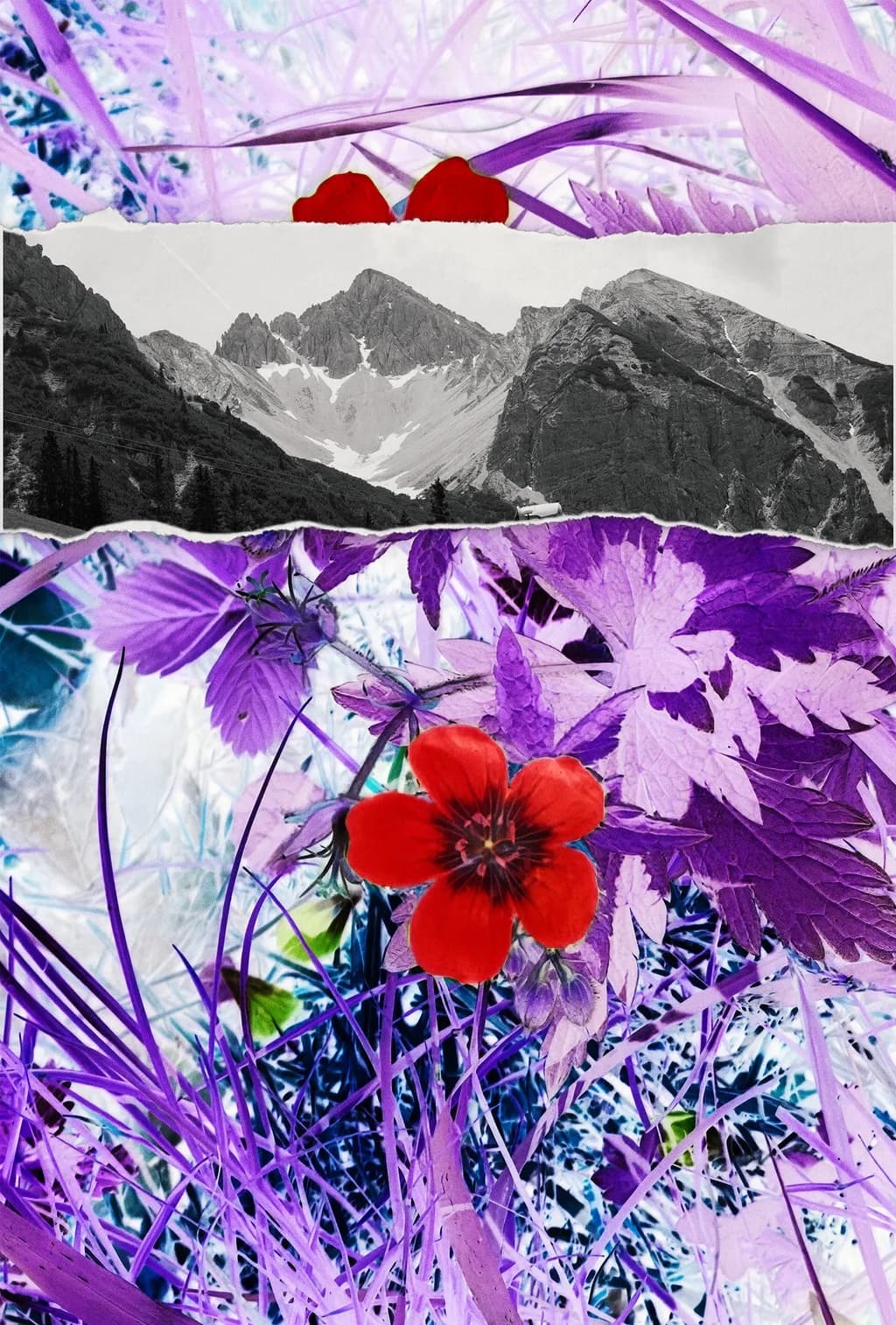 Torn Contrast Layers