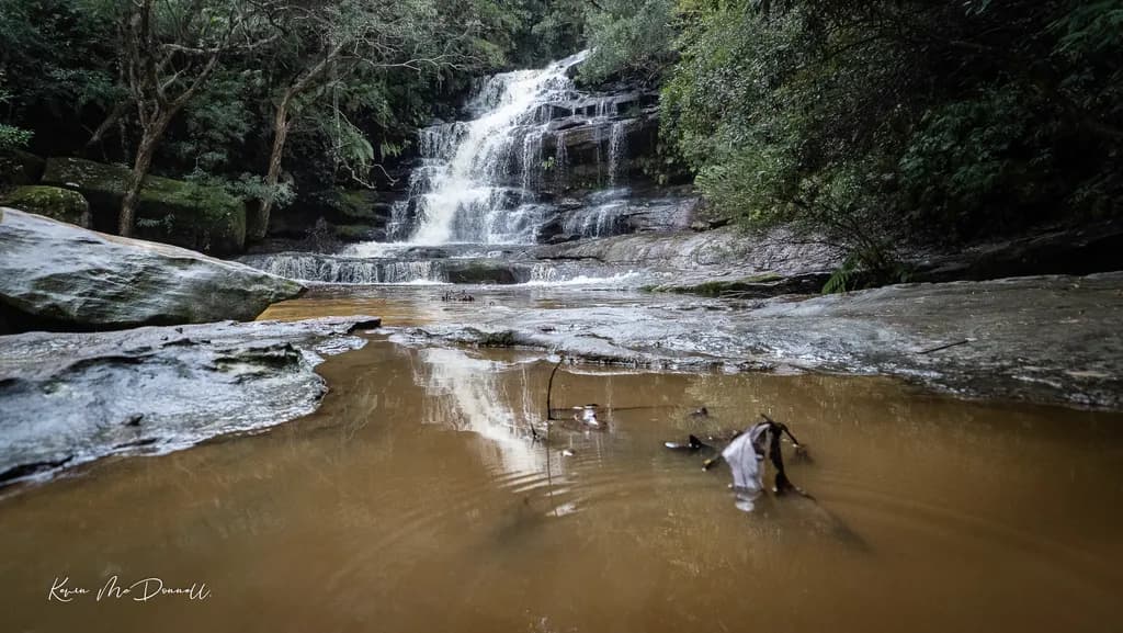 Whispers of Tranquility: A Serene Forest Waterfall Reflection