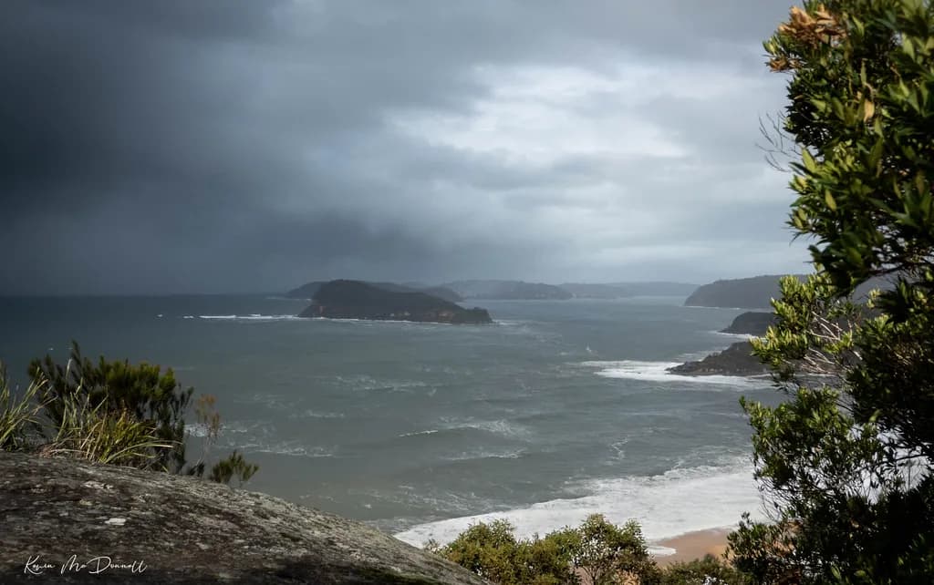 Whispers of the Storm: A Coastal Symphony in Gray and Green