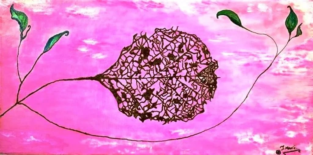 Beauty In Fragility