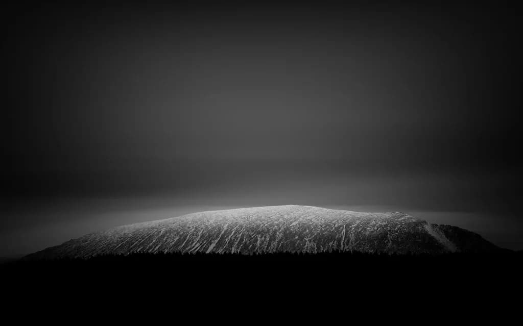 Silent Summit