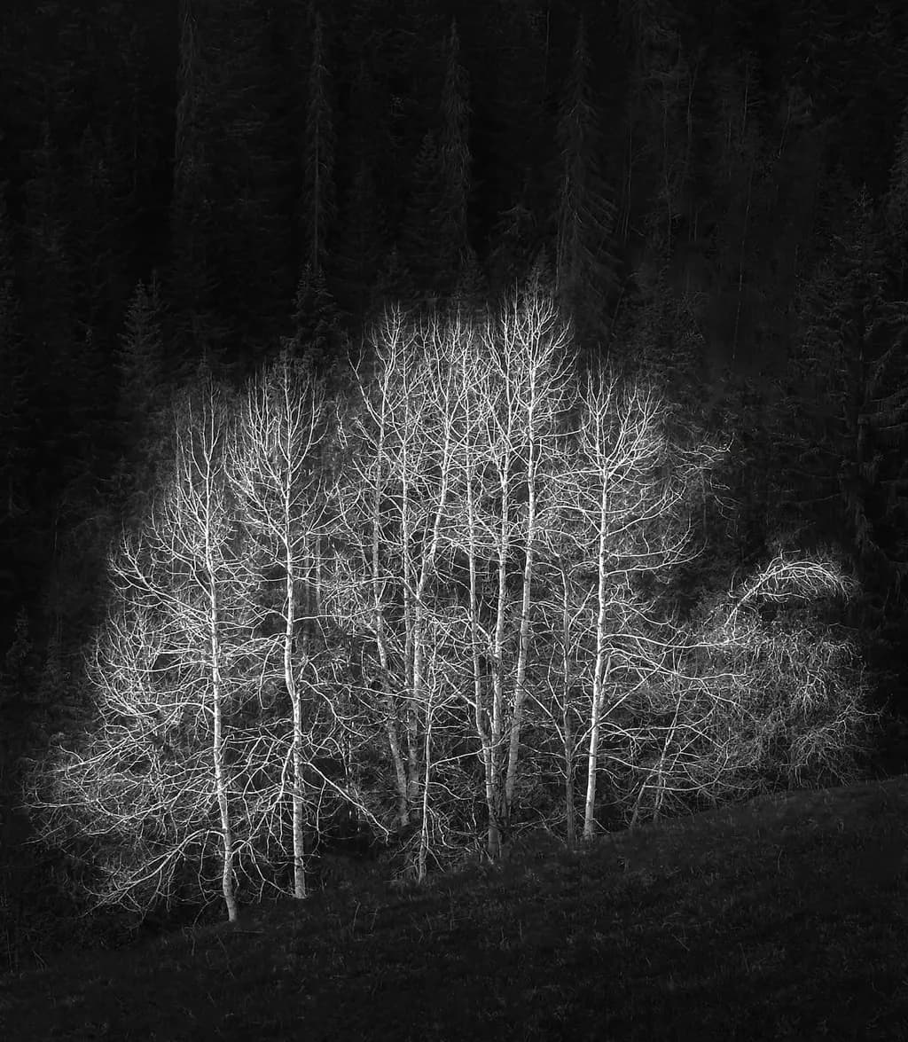 Winter Glow