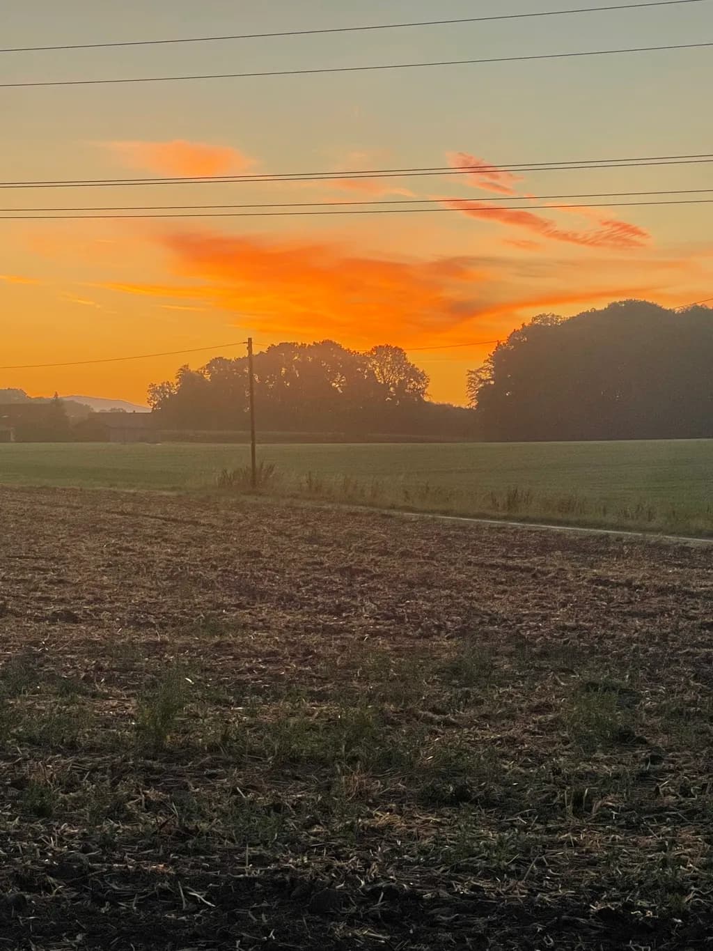 Sunset Over Field and Trees