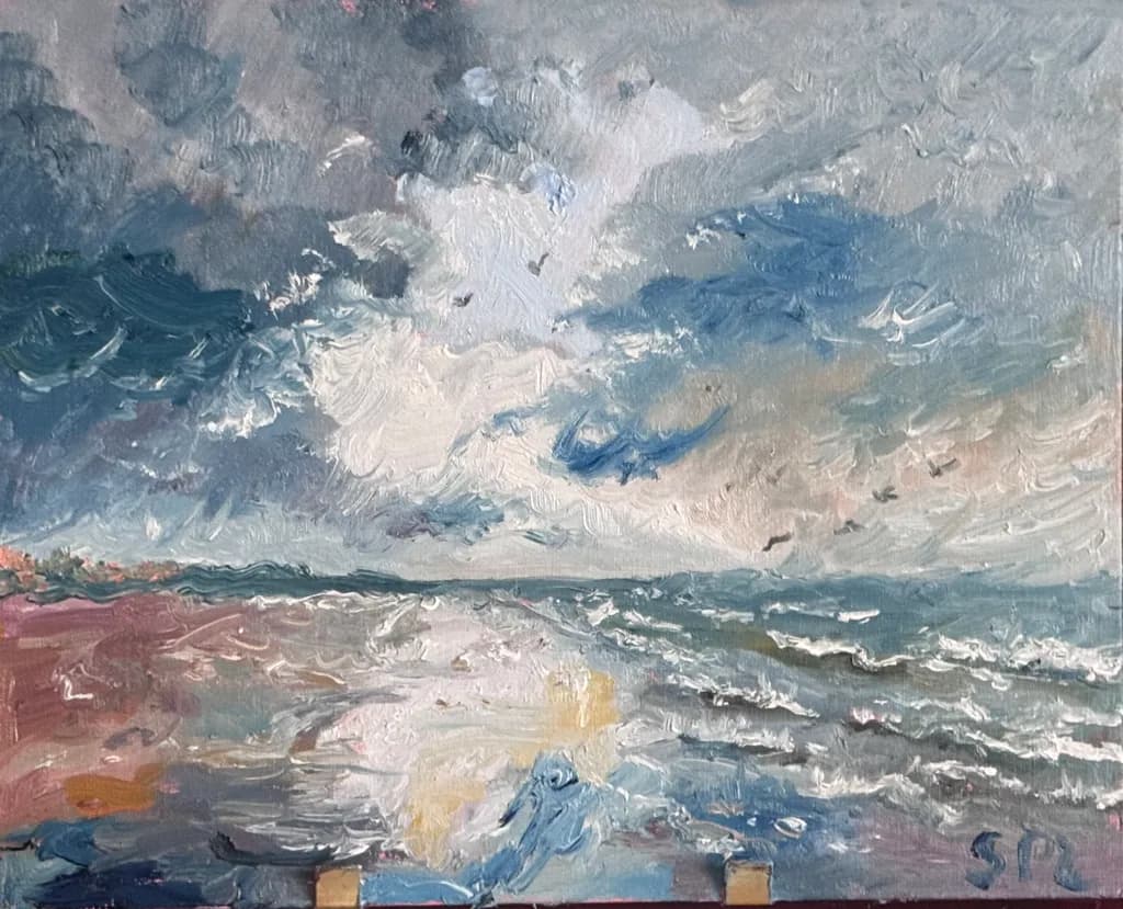 Coastal Skies