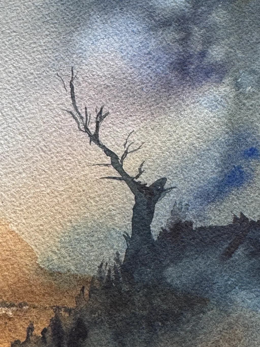 Highland Silhouette