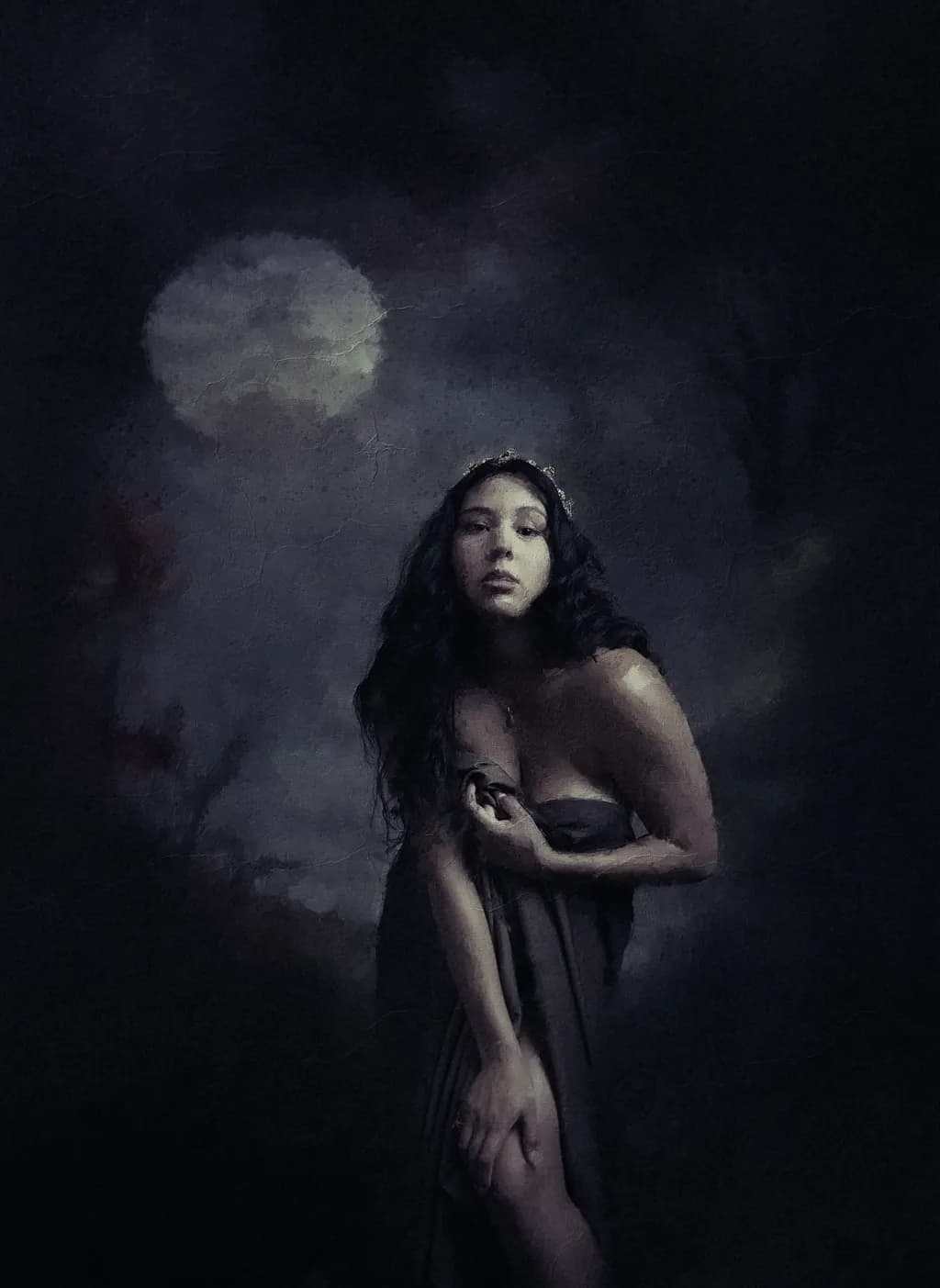Whispers of the Moonlit Veil: A Journey into the Shadows of Serenity