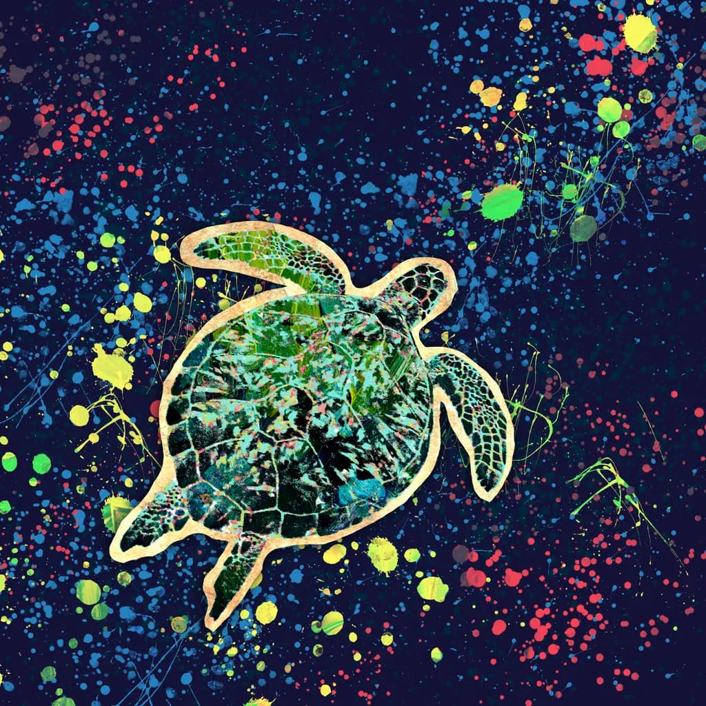 Sea Turtle Splash