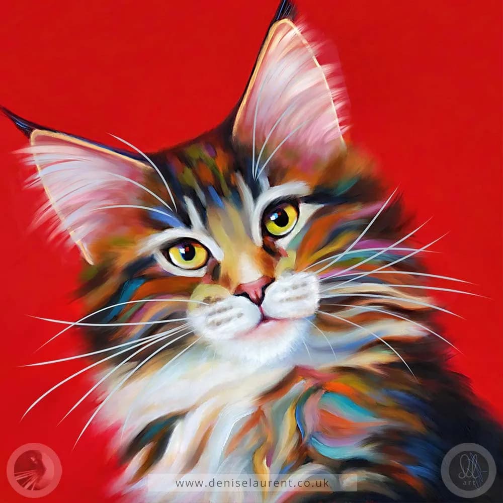 Firecracker Maine Coon Cat Framed Canvad Print