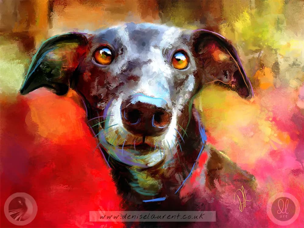 Milly Many Coats Framed Canvas Print