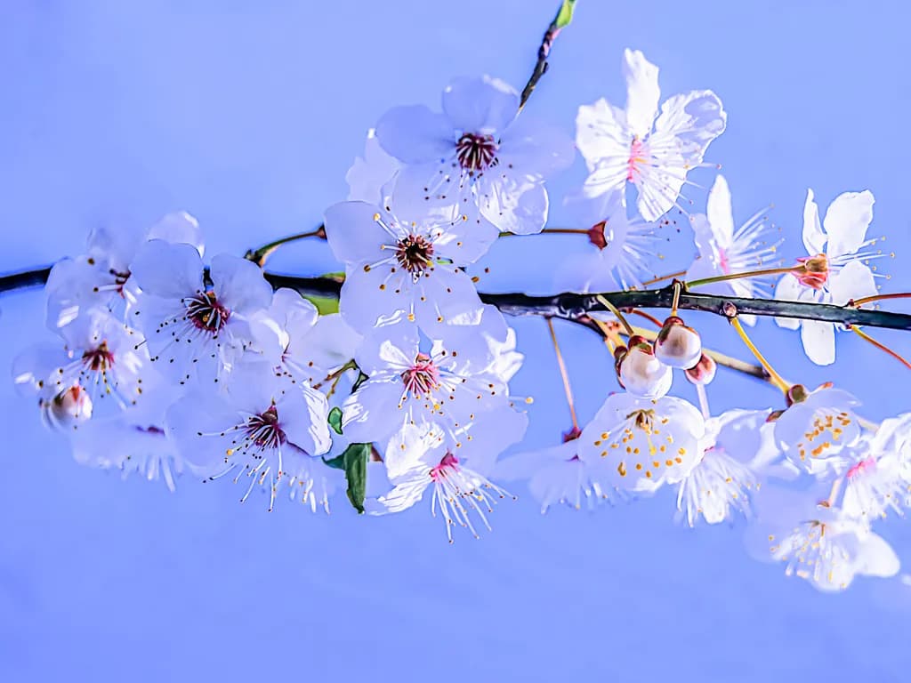 Tender awakening