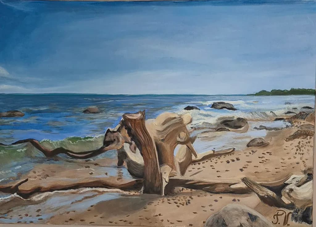 Driftwood Shore