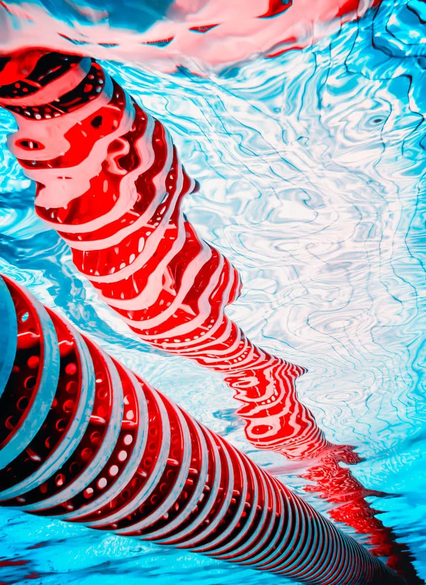 Rippling Reflections: A Dance of Color Beneath the Surface