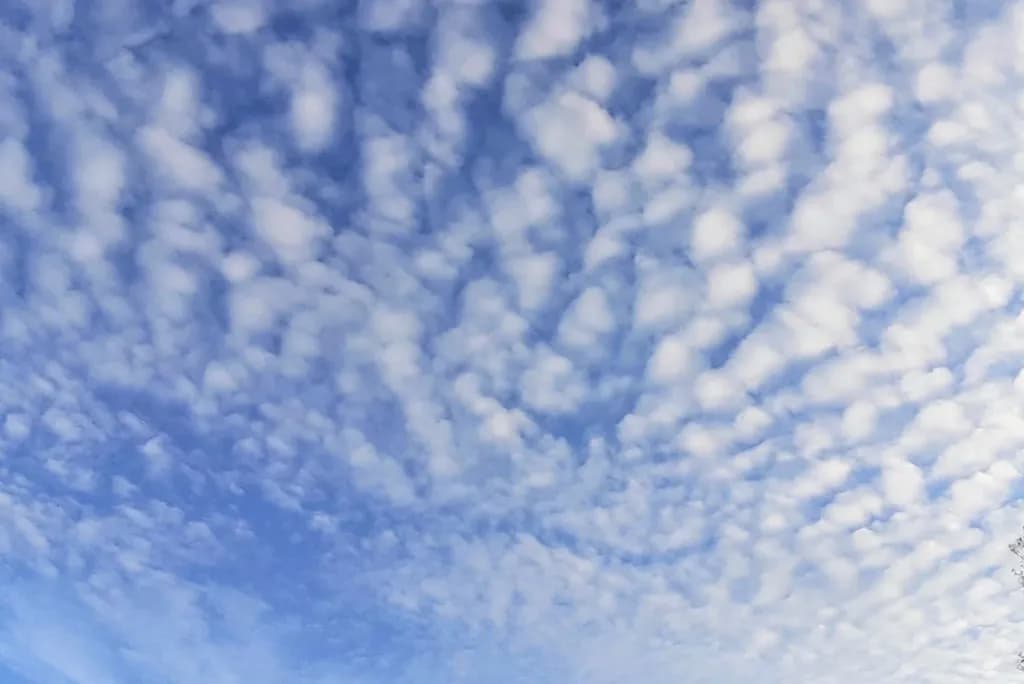 Altocumulus Pattern