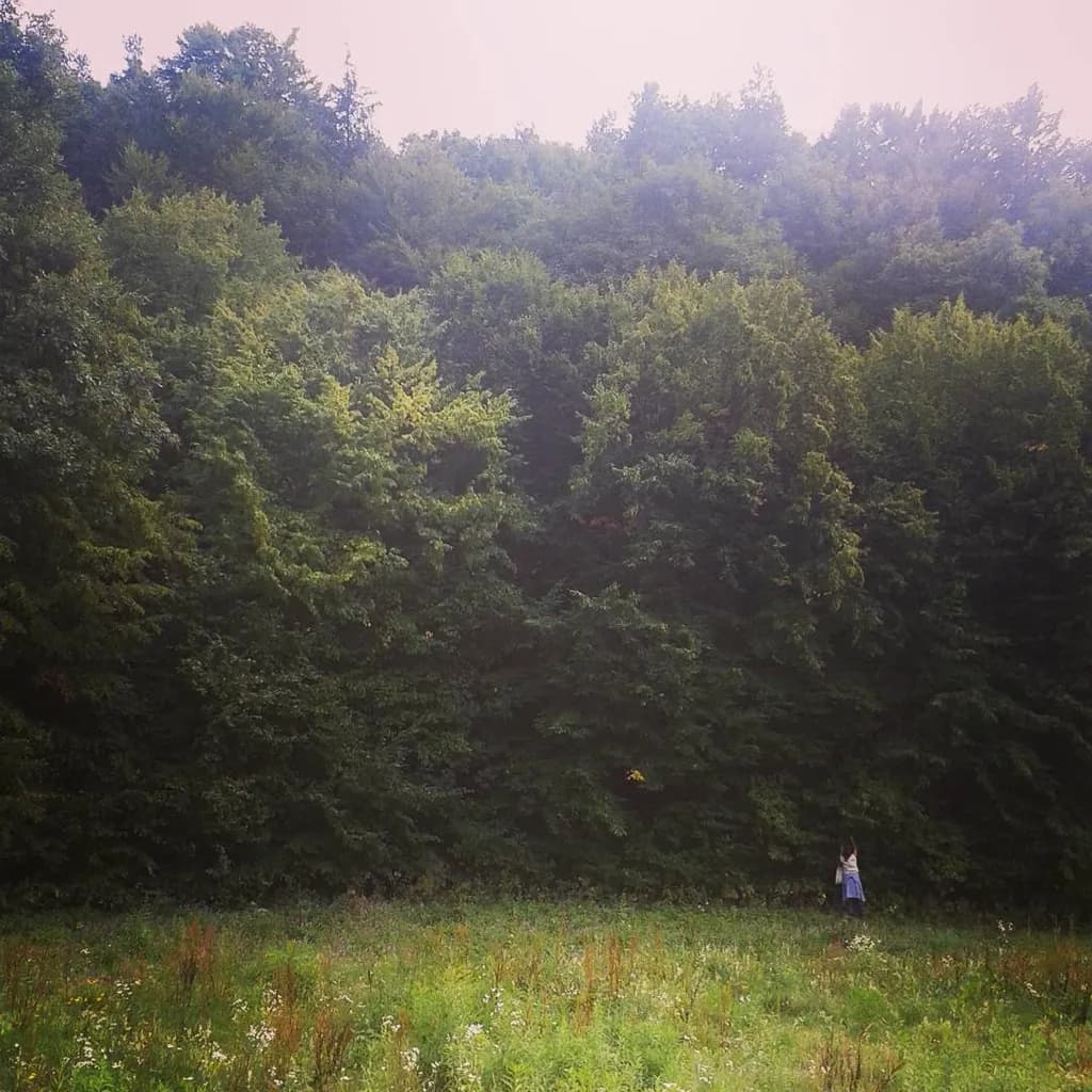 Edge of Solitude