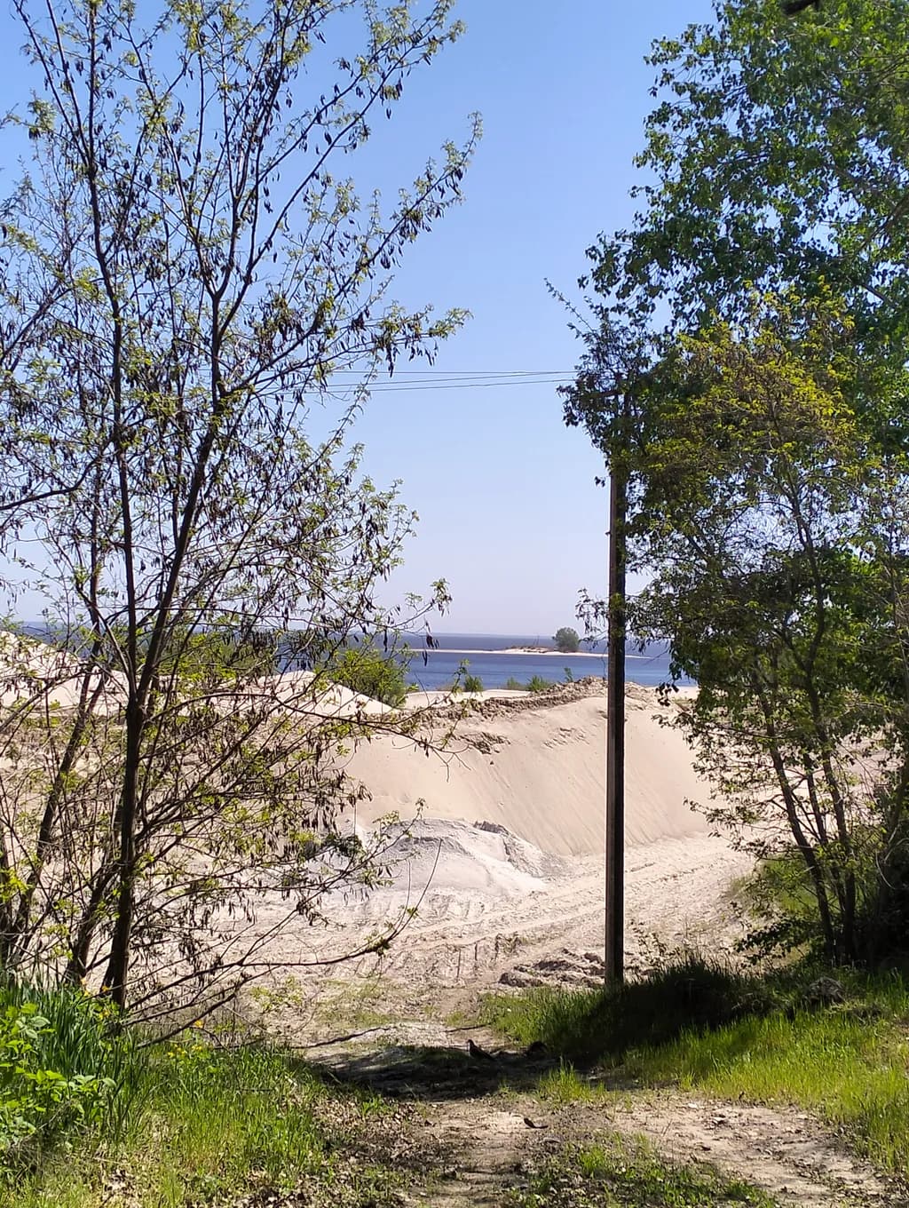 Whispers of Nature: A Serene Pathway to Tranquility by the Water's Edge