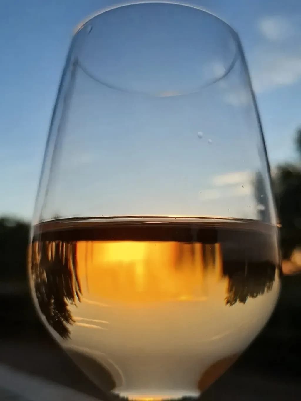 Sunset Reflection in Glass