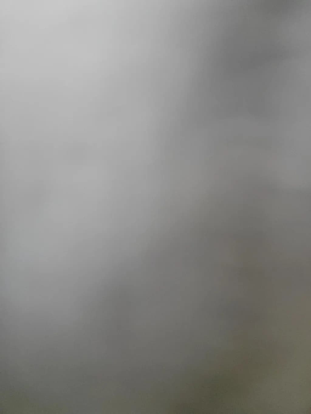 Whispers of Mist: A Serene Exploration of Gray Tones in Nature's Embrace