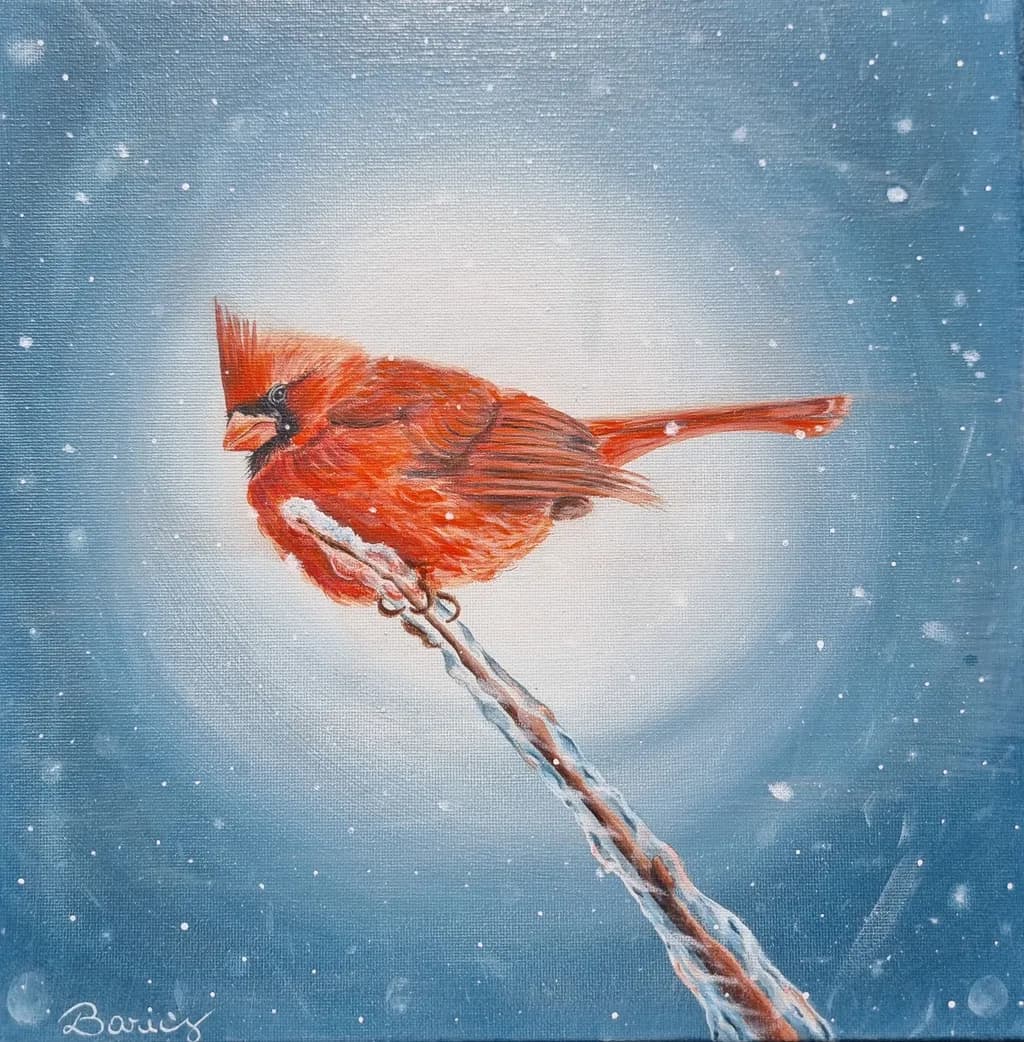 Winter's Cardinal: A Splash of Red in a Snowy Wonderland