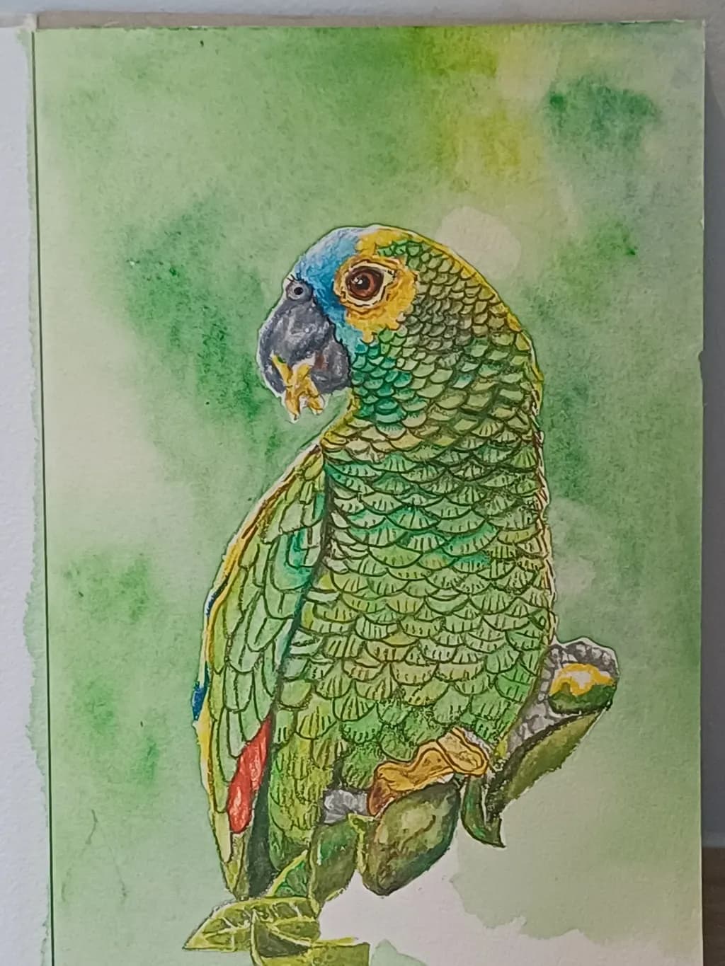 Green Parrot Perch