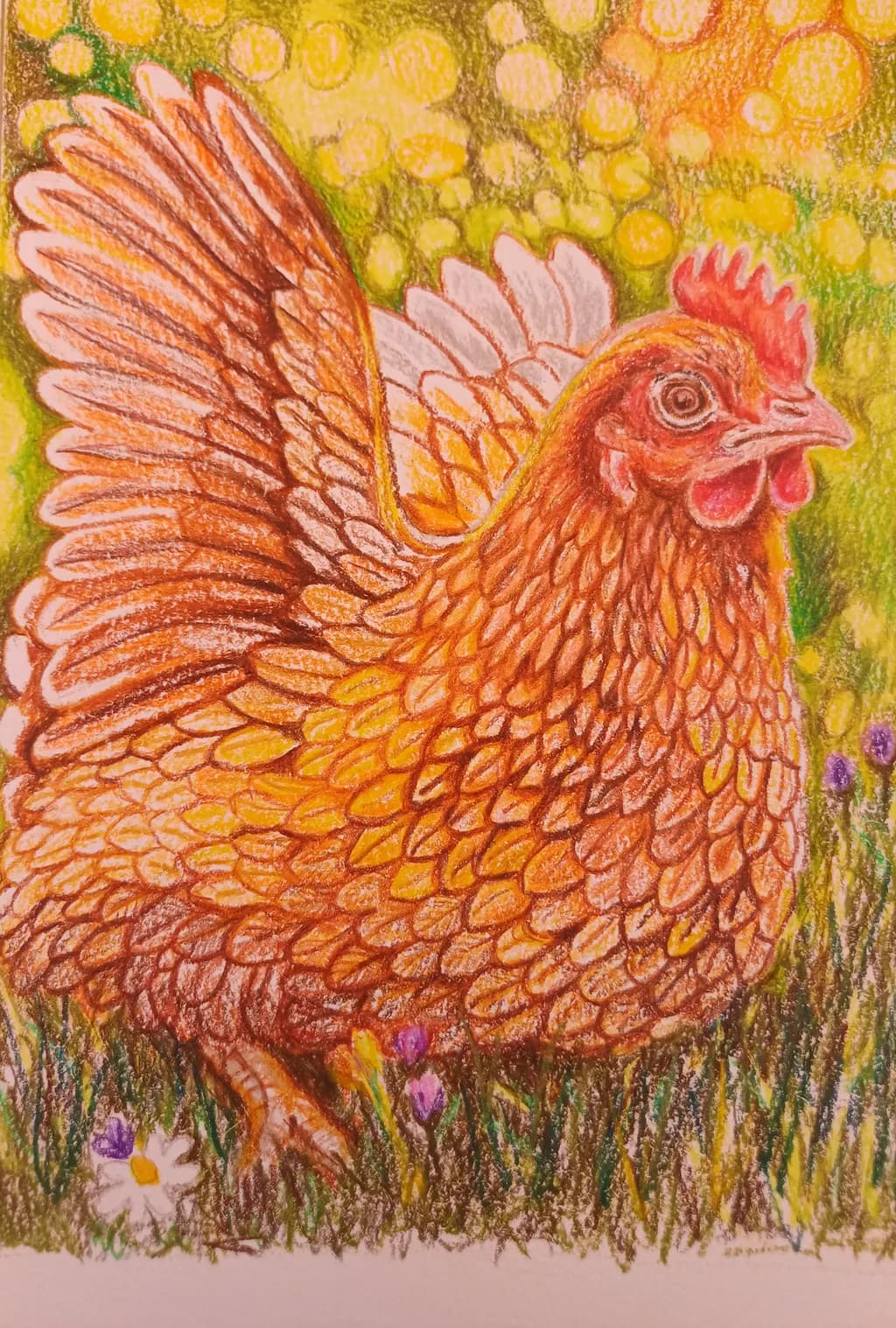 Golden Hen Radiance
