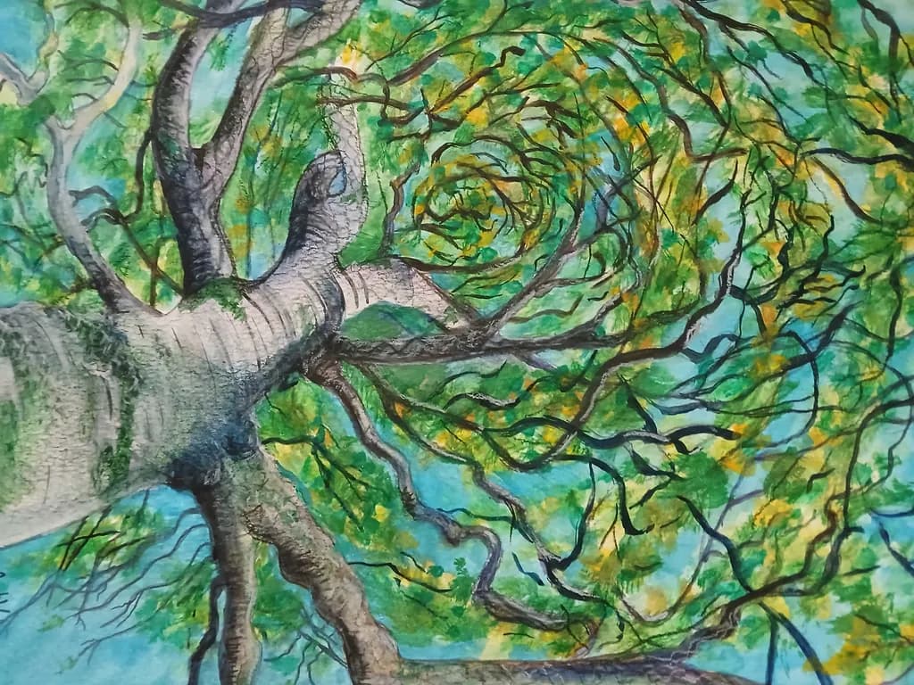 Spiral Canopy