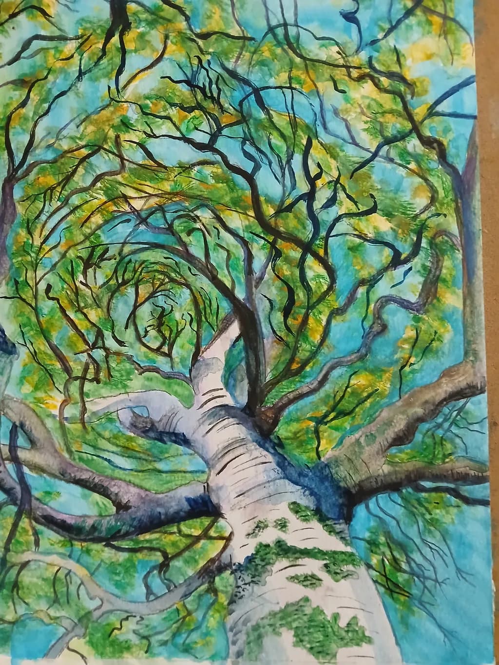 Canopy Spiral