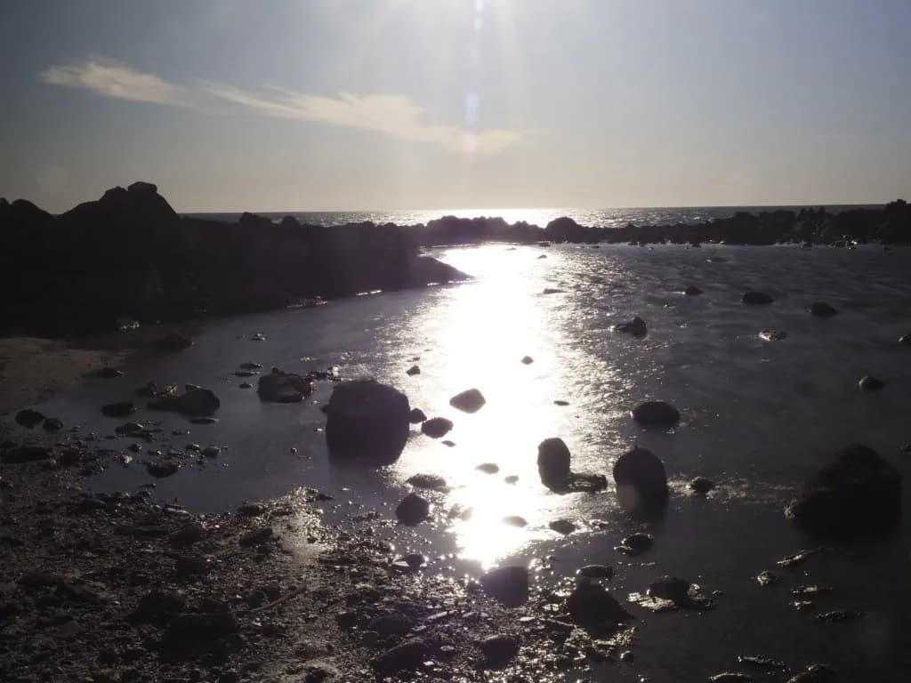 Sunlit Tidepool