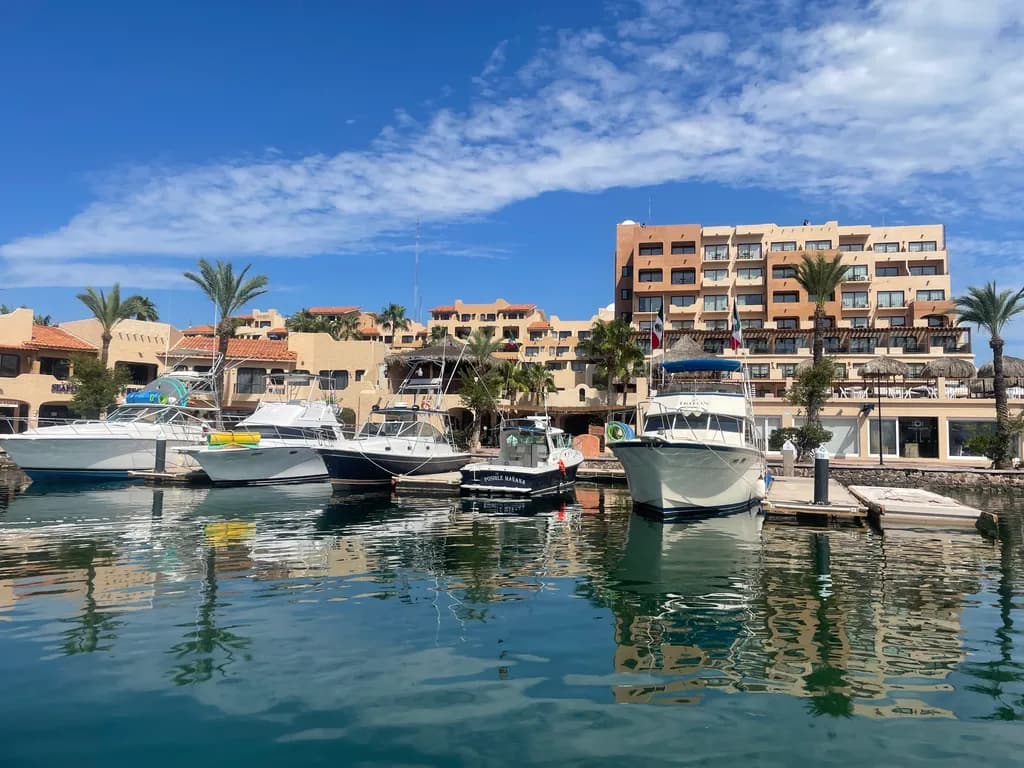Marina Reflections