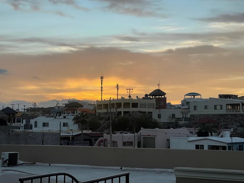 Sunset Silhouettes
