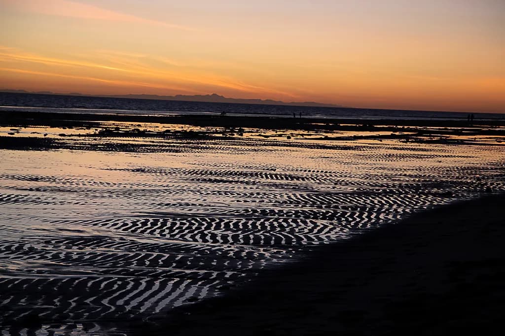 Bahia de Choya Sunset