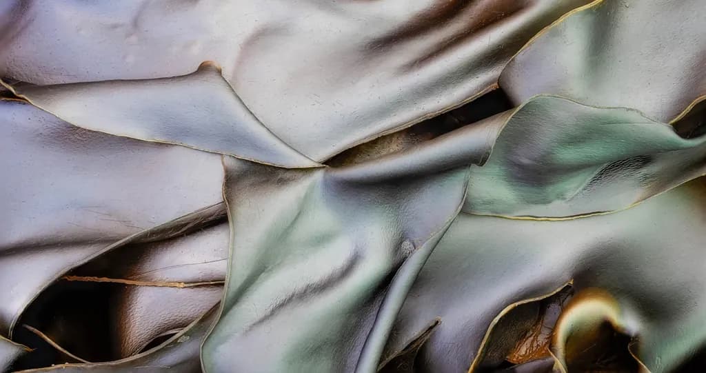 Abstract Folds