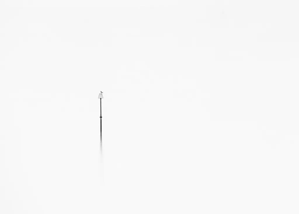 Solitary Lamppost in White
