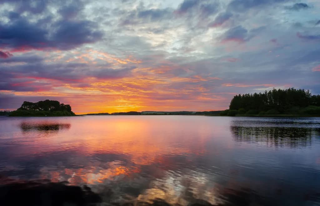 Golden Reflection