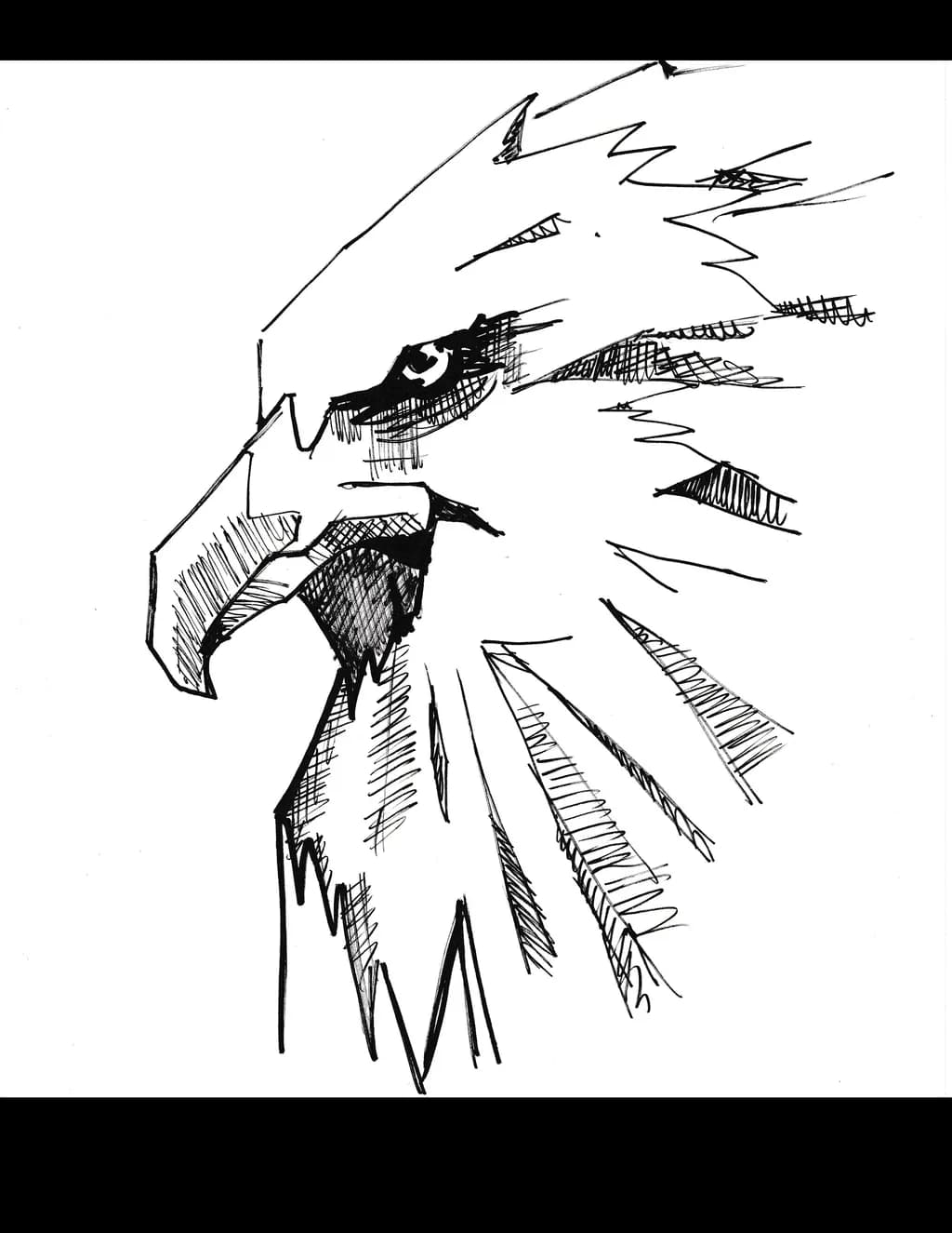Majestic Eagle: A Bold Ink Sketch of Nature's Sovereign