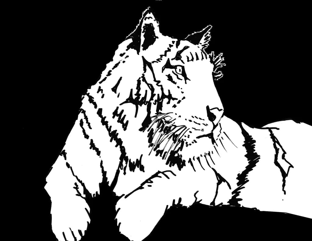 Majestic Whispers: The Silent Strength of a White Tiger in Ink