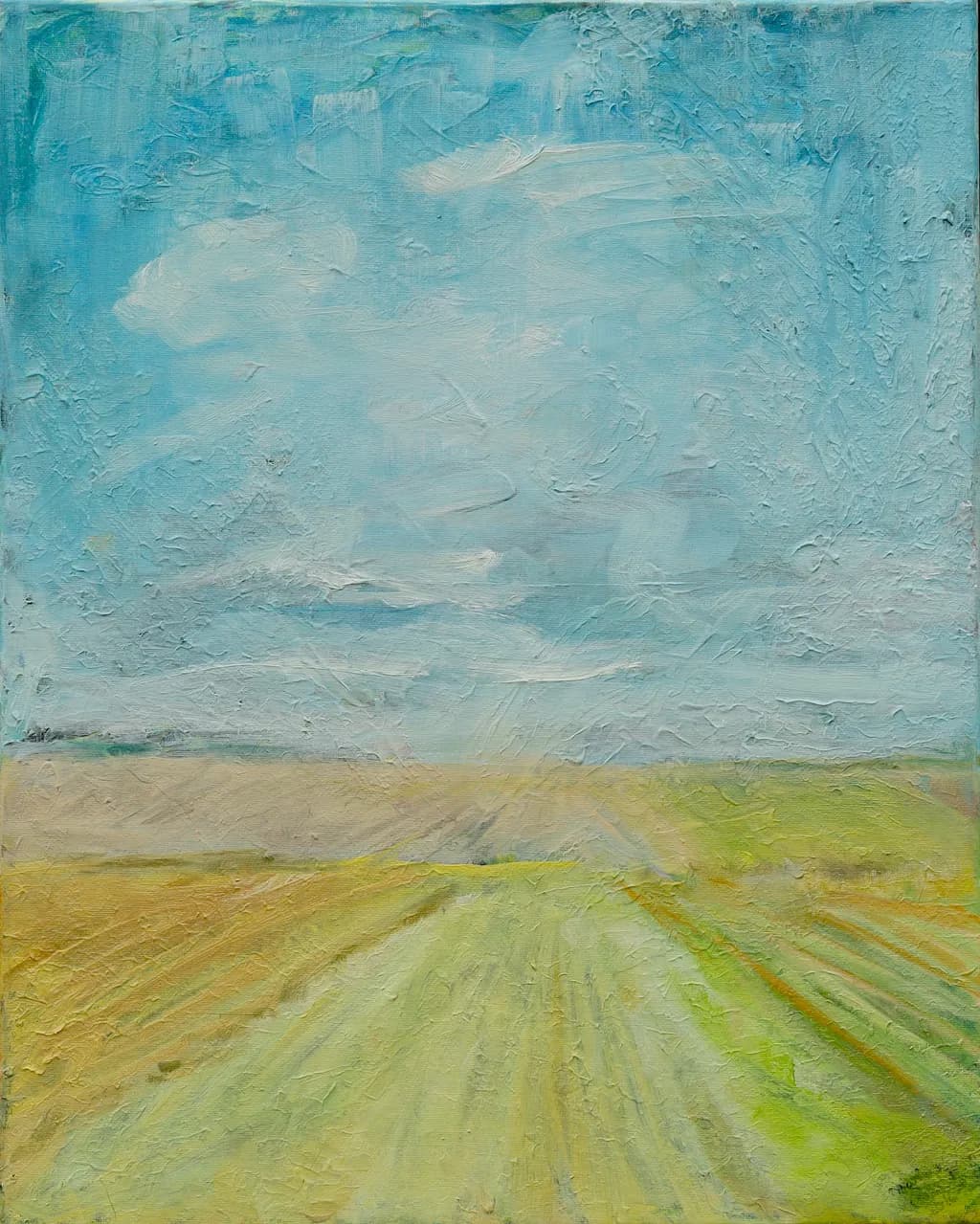 Serene Danish Fields: A Tranquil Landscape of Sky and Texture
