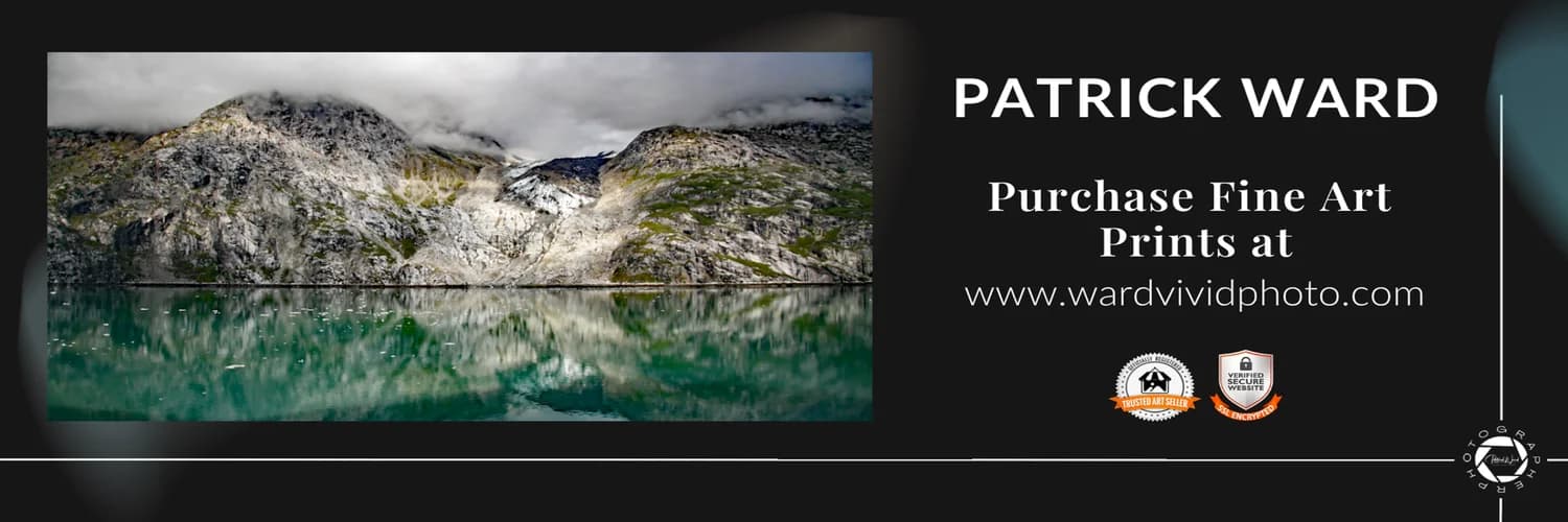 Profile banner