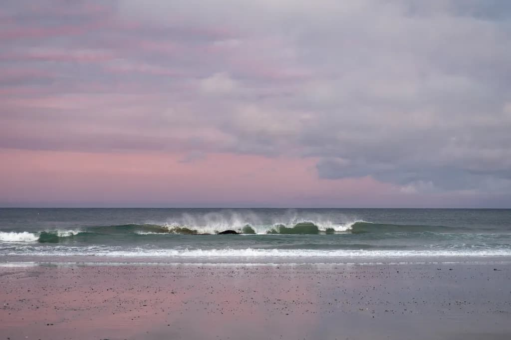 Pink Tide Break