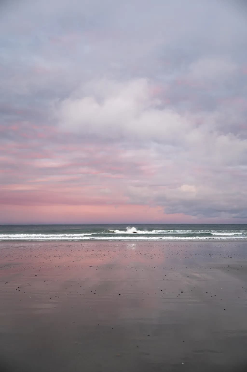 Pink Tide