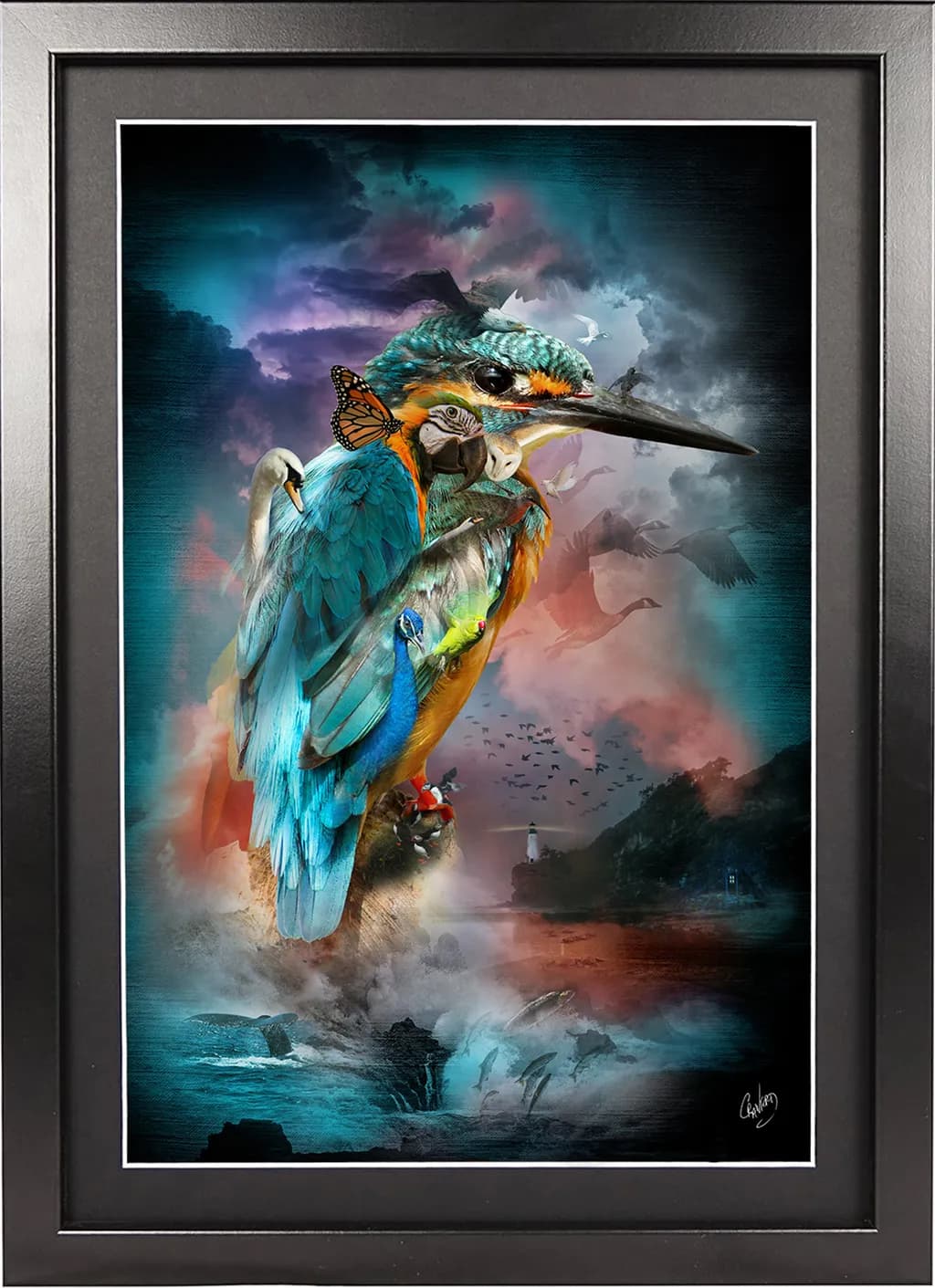 Kingfisher Collage