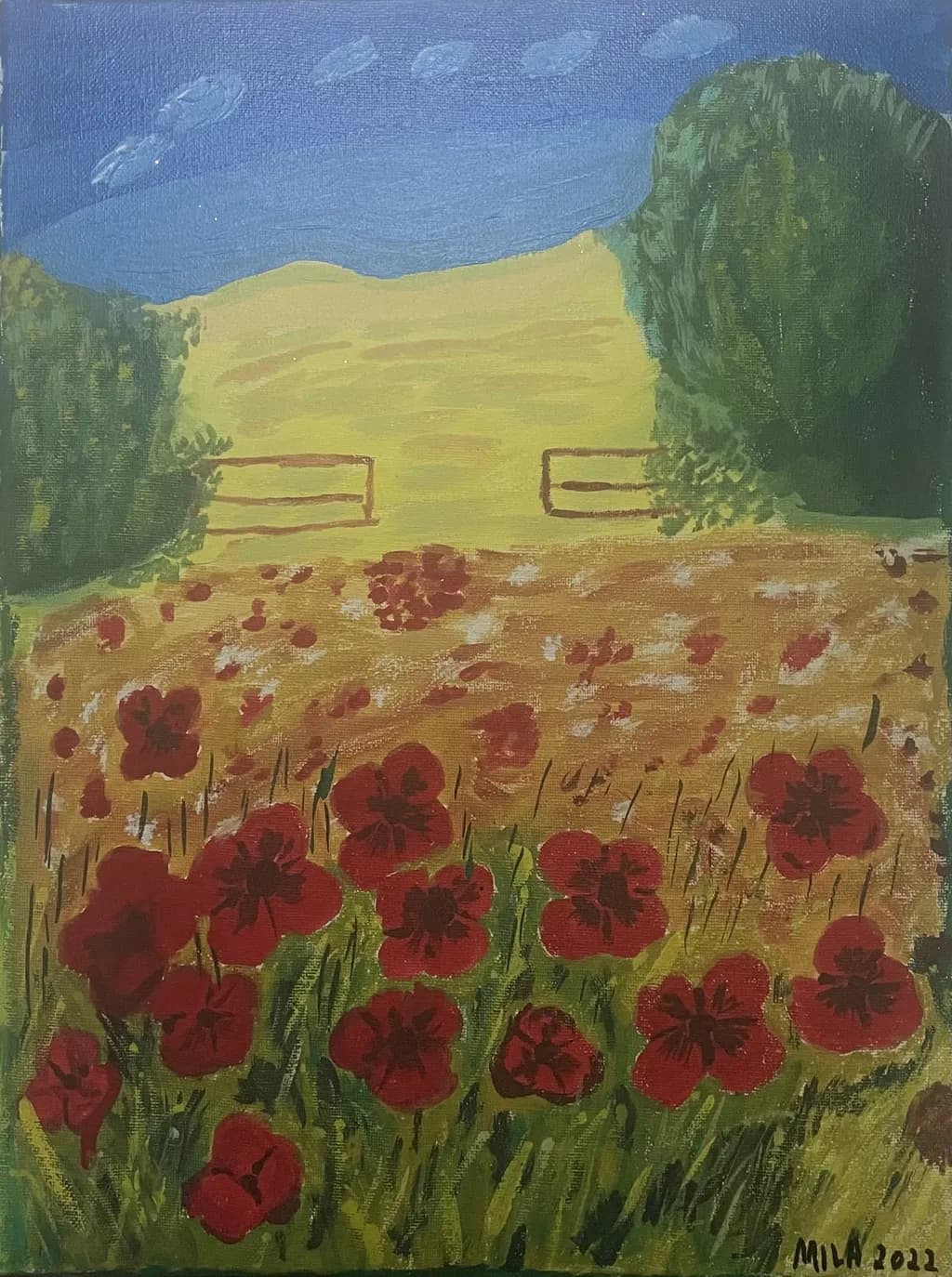 Poppies in the Meadow