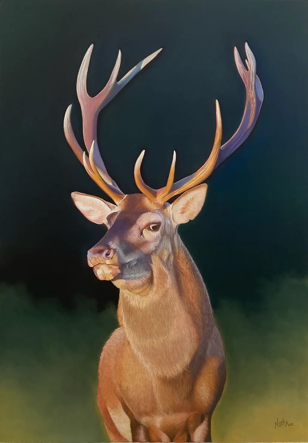 Golden Gaze