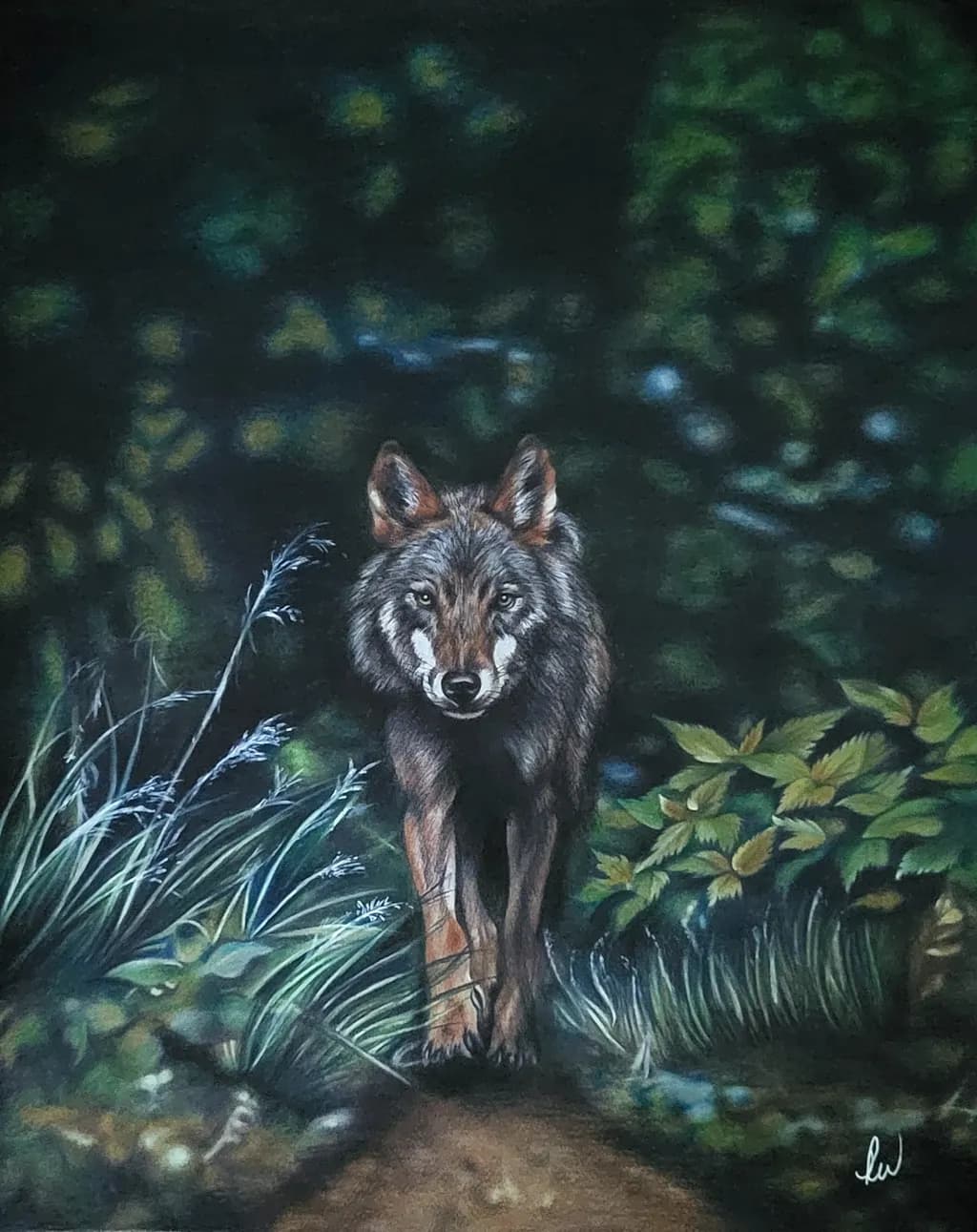 Whispers of the Forest: A Realistic Wolf Encounter in Nature's Embrace